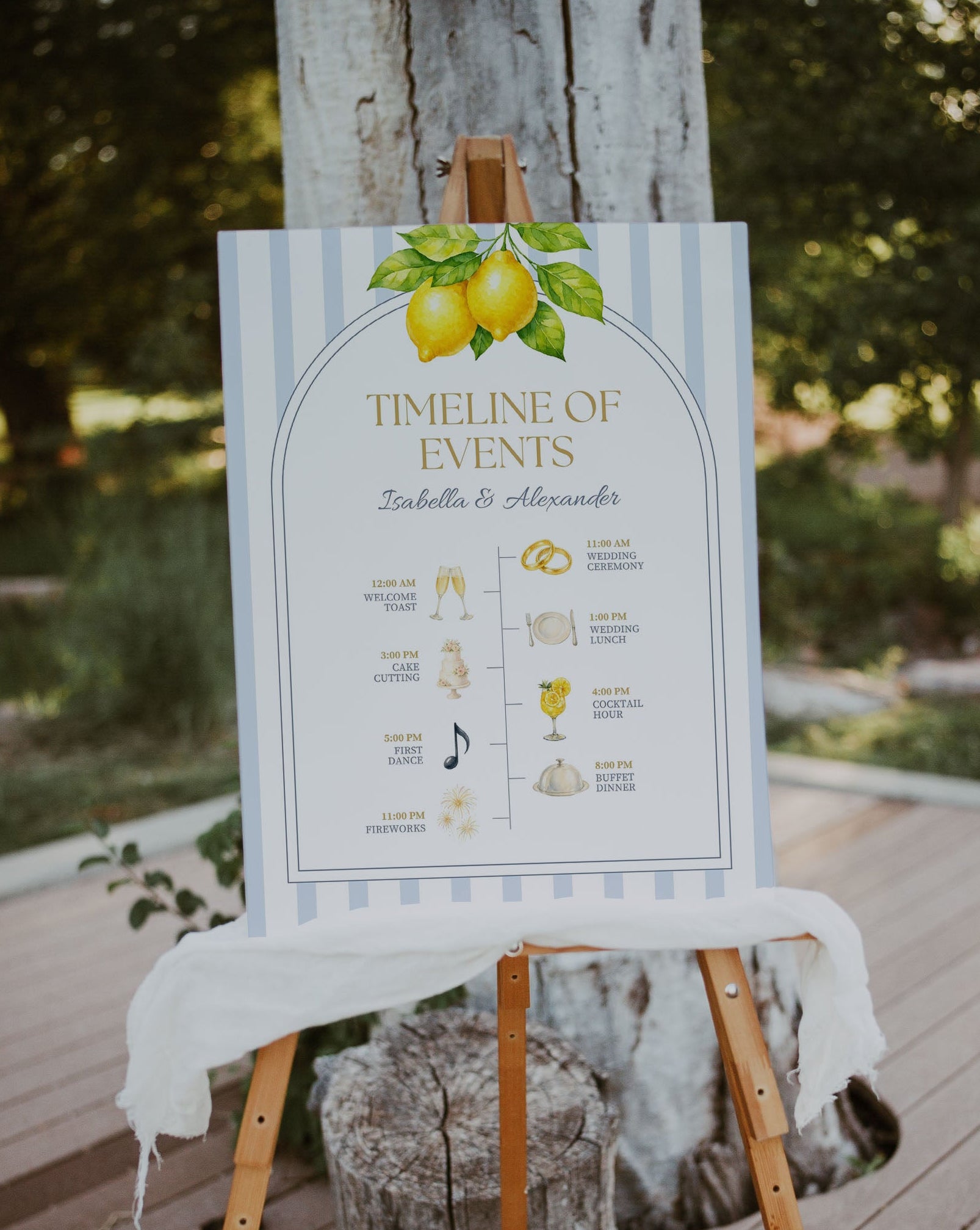 Wedding Order of Events Sign : Editable Reception Timeline Template (Instant Download)